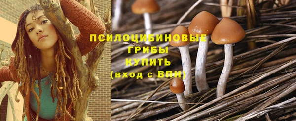 ешки Осинники