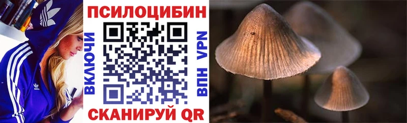 дарнет шоп  Курчатов  Галлюциногенные грибы прущие грибы 