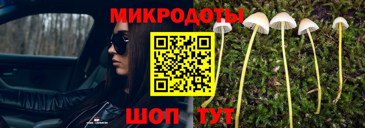 Псилоцибиновые грибы Psilocybe  Вход с VPN  Курчатов 