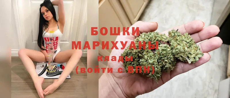 продажа наркотиков  Курчатов  Шишки марихуана Amnesia 